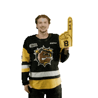 BrantfordBulldogs hockey bulldogs moore ohl Sticker