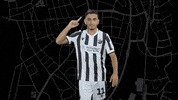 Svs1916 GIF by SV Sandhausen