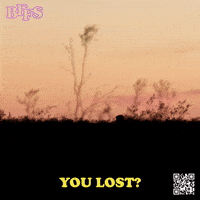 Filmfestival Oldhollywood GIF by Marcel Katz / The Art Plug