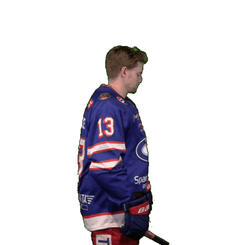 13 Sticker by VIF Hockey