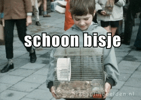 Hamster Huisdier GIF by Brabant in Beelden