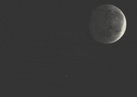 Naumproductions video vintage moon old GIF