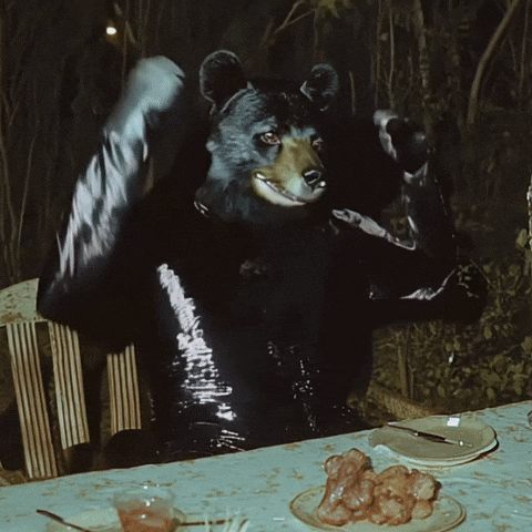doopiidoo giphyupload bear rage forest GIF