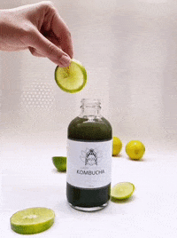 Drink Lemon GIF by Lady Buddha Kombucha