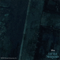The Little Mermaid GIF by Walt Disney Studios