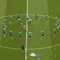 Shocked World Cup GIF by Football Federation Australia