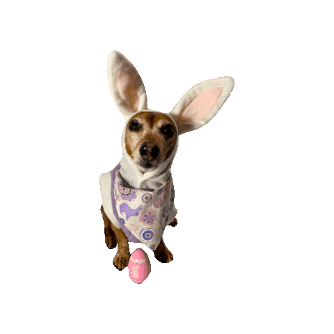 Happy Easter Sticker by Geekster Pets