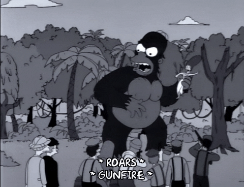 homer simpson GIF