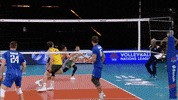 Luke Perry Omg GIF by Volleyball World