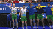 Celebrate United GIF by Volleyball World