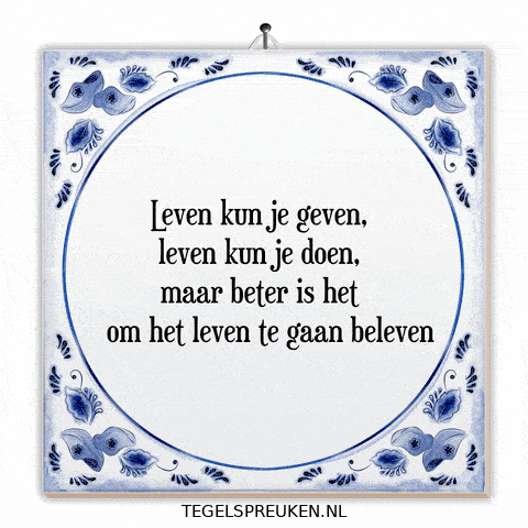 Moment Wijsheid GIF by Tegelspreuken.nl