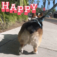 Happy GIF