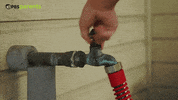 GIF by PBS