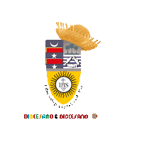 Arraia Sticker by Diocesano