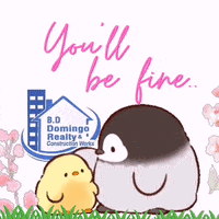 Penguin GIF by BDDRC