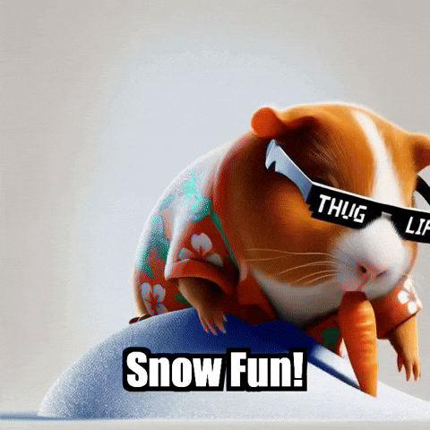 Guinea Pig Snow GIF by Guinea Gambino