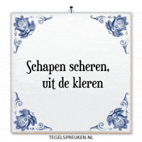 Humor Wijsheid GIF by Tegelspreuken.nl