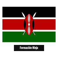 Kenya Flag Sticker by Formación Ninja