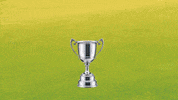 Us Open Sport GIF by RightNow