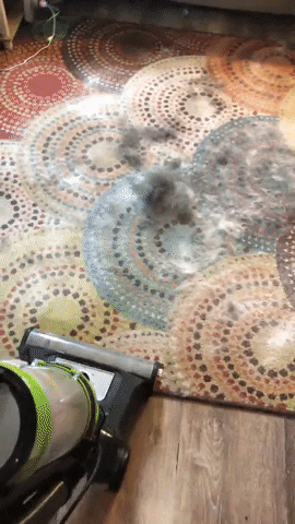 GIF by BuzzFeed