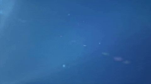 logo GIF by Laurentian University