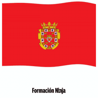 Flag Spain GIF by Formación Ninja