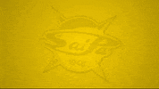 Saipa 20-21 GIF by WhiteWhale