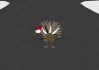 turkey crying GIF by South Park 