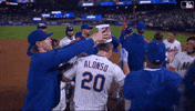 Pete Alonso Baseball GIF by New York Mets
