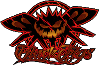 Fly4Life Sticker by Black Flys