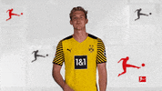 Well Done Good Job GIF by Bundesliga