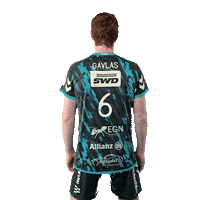 Sport Celebration Sticker by SWD Powervolleys Düren