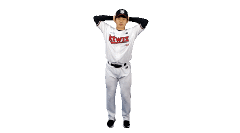 Baseball Happy Dance Sticker by kt wiz