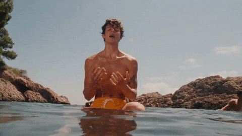 Summer Of Love GIF by Shawn Mendes