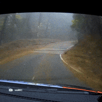 Car Crash Exit GIF by FIA World Rally Championship