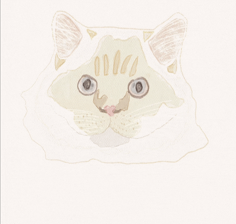 Caryfuller GIF