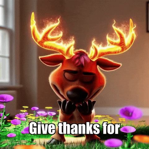 Fire Glow GIF by elkijahspark