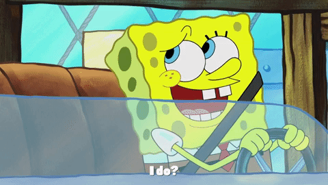 season 9 lost in bikini bottom GIF by SpongeBob SquarePants