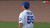 Chicago Cubs Baseball GIF