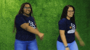 madeiramadeira happy cool yeah great GIF