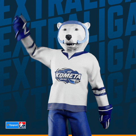 Hockey Hokej GIF by Tipsport extraliga