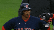 Regular Season Baseball GIF by MLB