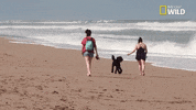 pupparazzi puppy potty face GIF by Nat Geo Wild