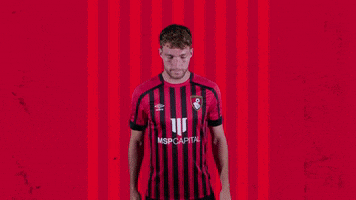 Football No GIF by AFC Bournemouth