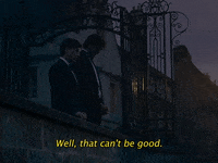 Movie gif. Jacob Elordi as Noah and Barry Keoghan as Arthur in "Saltburn" stand on a bridge at dusk looking down. Noah says, "Well, that can't be good," which appears as text.