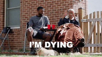 Cracking Up Laughing GIF by Sage and lemonade