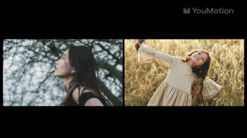 Nature Tree Transition | Video |You Motion