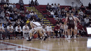 Basketball Hype GIF by Colgate Athletics