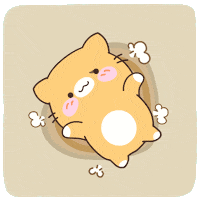Angry Cat GIF by catgrass
