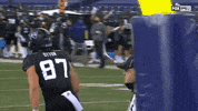 Bow Down Purple Reign GIF by Washington Athletics